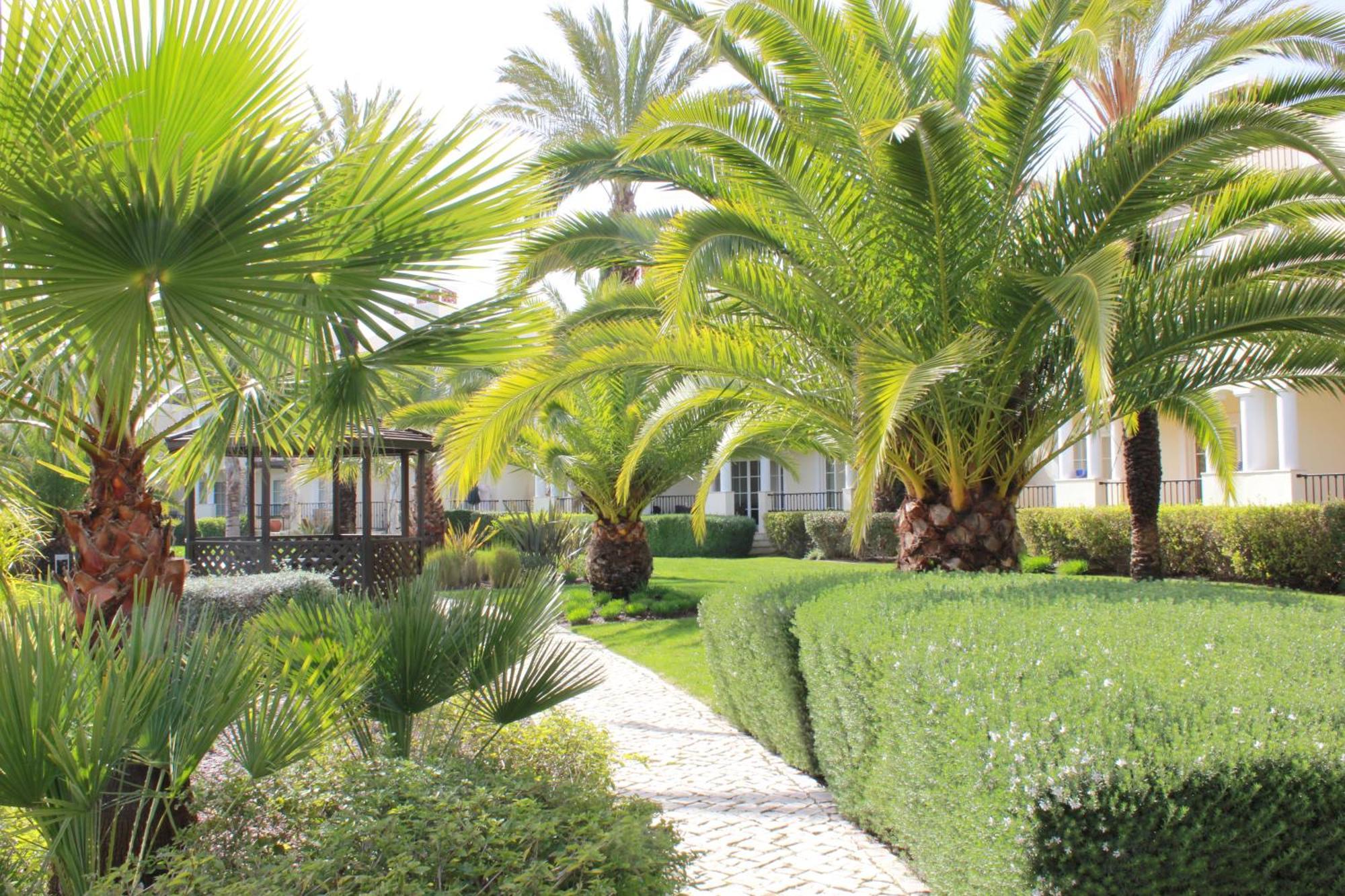 Luxury 3 Bedroom Apartment On Gated Complex Quarteira Ngoại thất bức ảnh